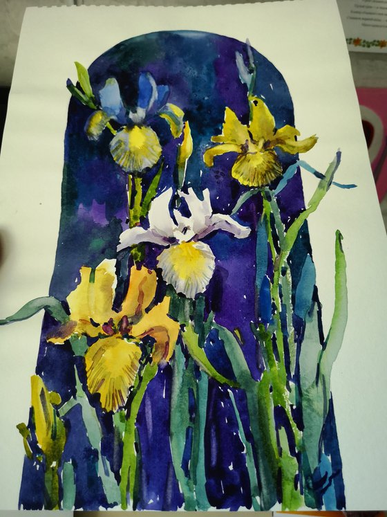 Irises