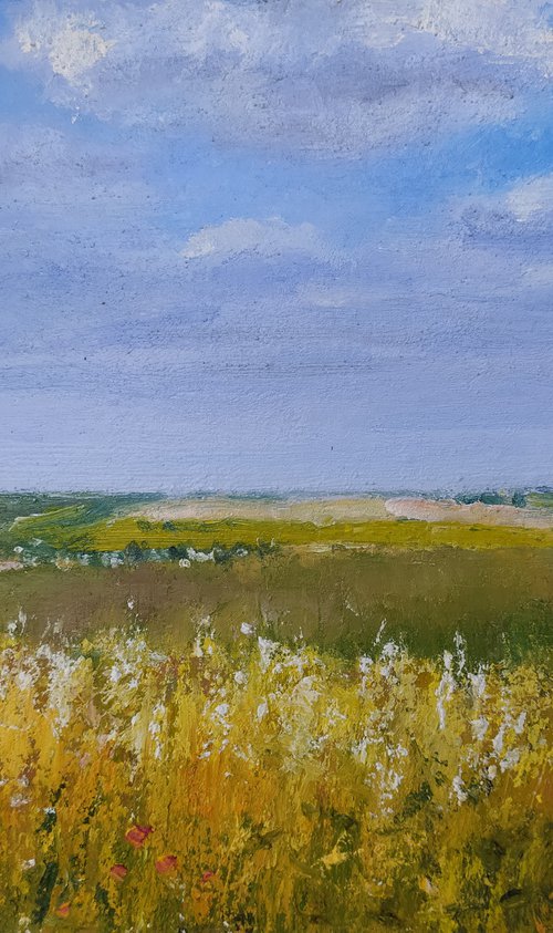 Ukrainian field by Valentina Andrukhova