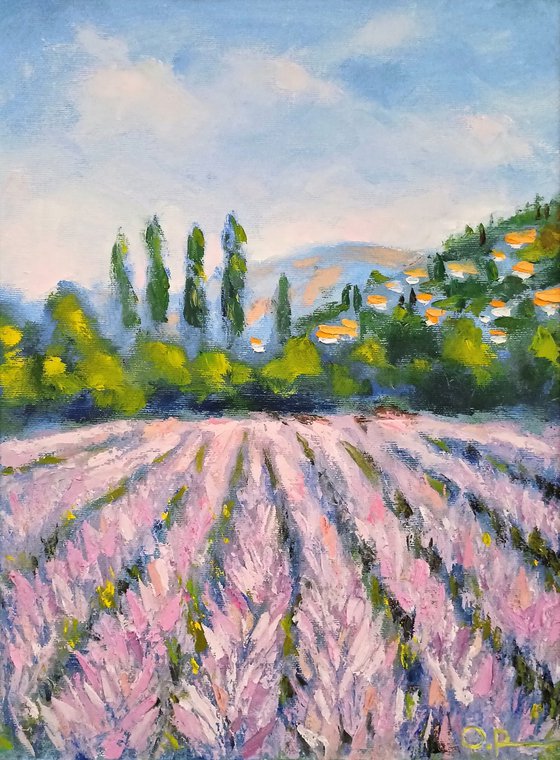 Lavender fields of Provence