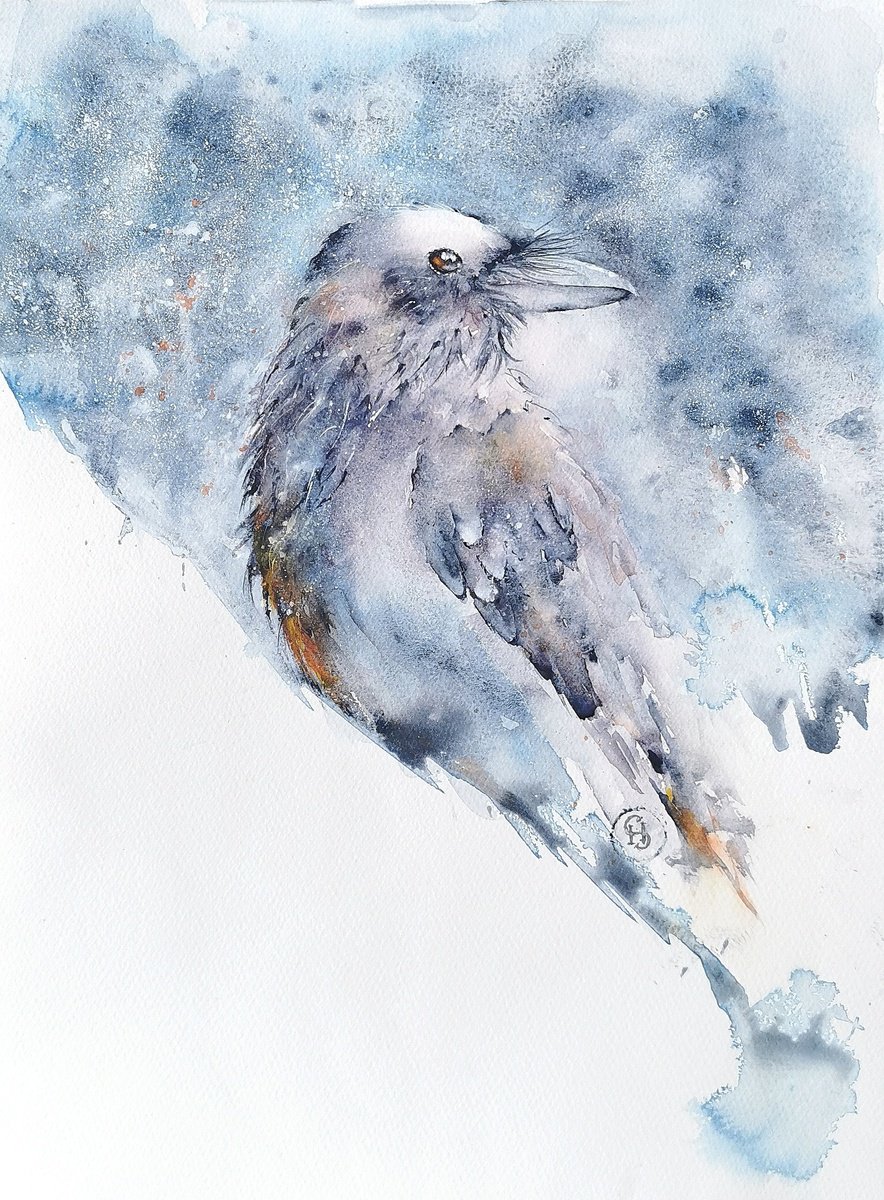 Crow in the Mist by Sveta Hubmann