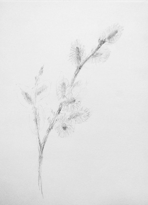 Springtime#1. Original pencil drawing.