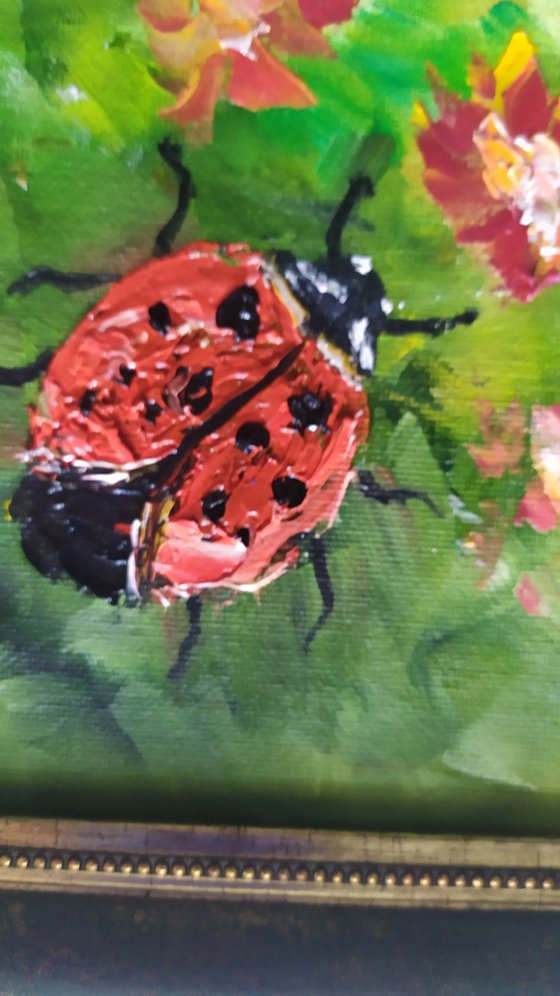 Ladybird, original small framed oil painting, gift idea, art for home