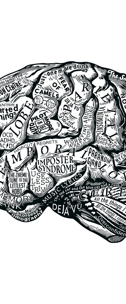 Anatomy Of The Brain by Dex