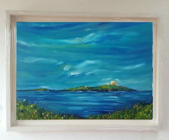 Summer Remembered on Dalkey Island, Dublin Ireland