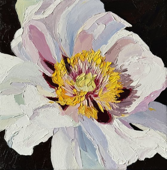 Flamenco peony