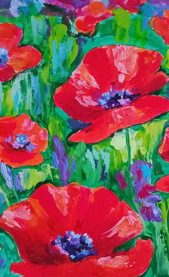 Scarlet poppies in a field