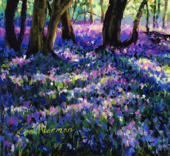 Bluebell Forest Glade