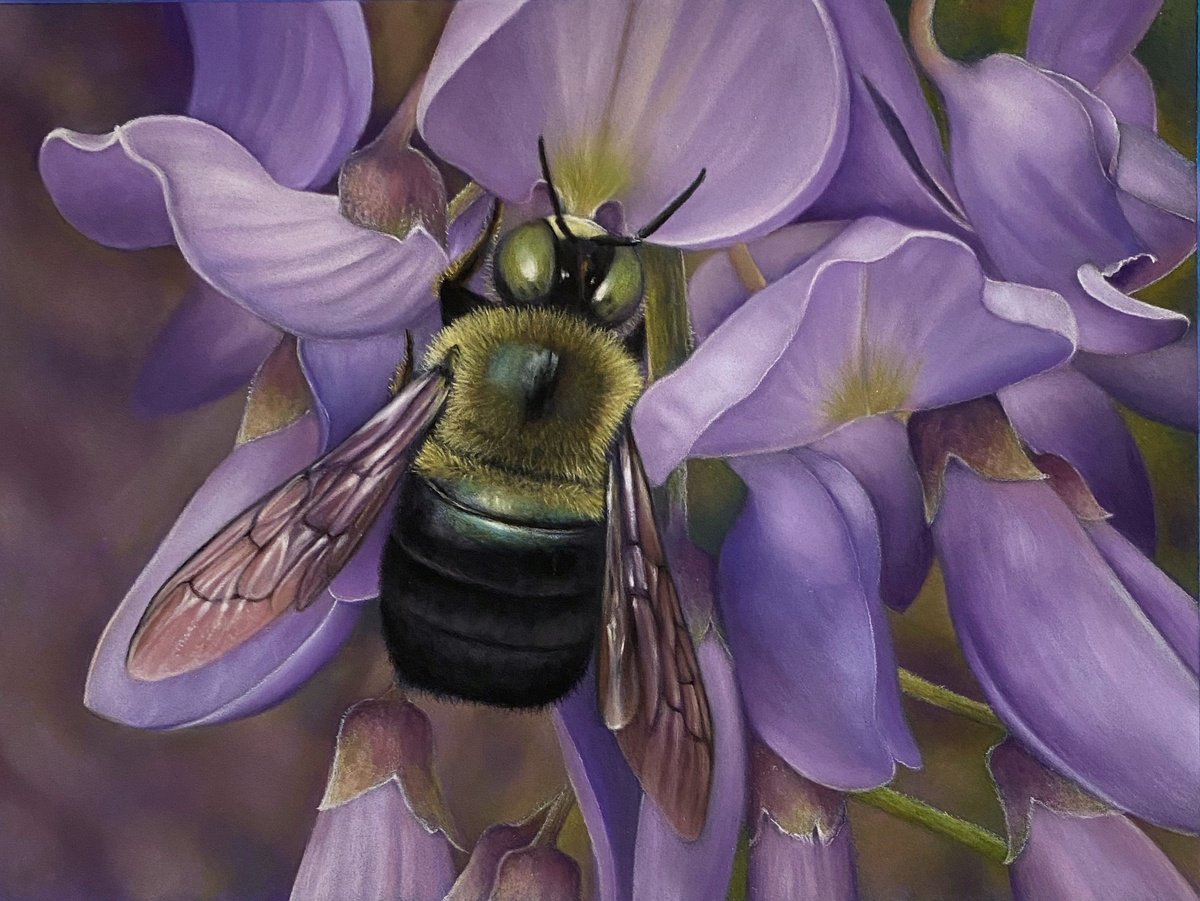Wisteria Bee by Debra Spence