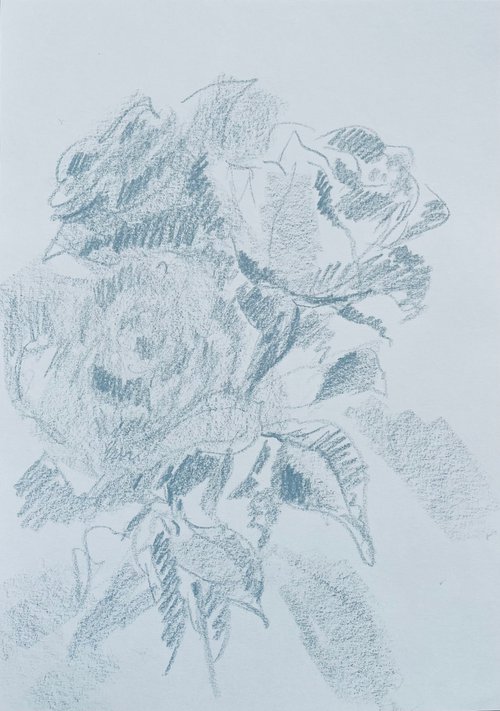 Roses #12. Original pencil drawing by Yury Klyan