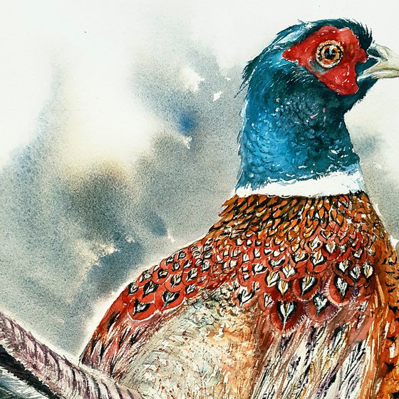 Beaumont the Pheasant