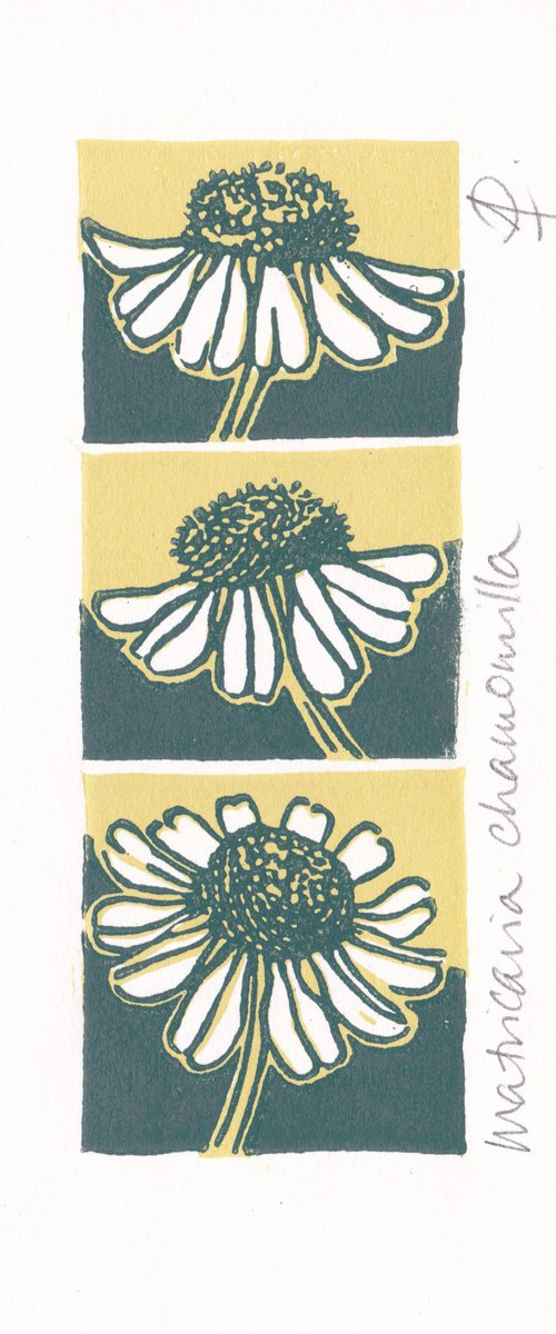 Camomile (butter and teal colourway) by Alison Pearce