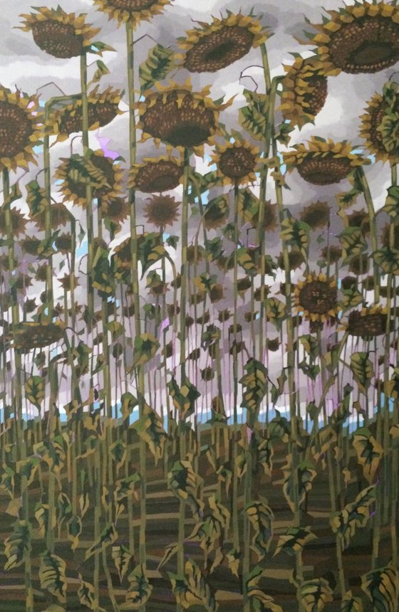 Last Sunflowers