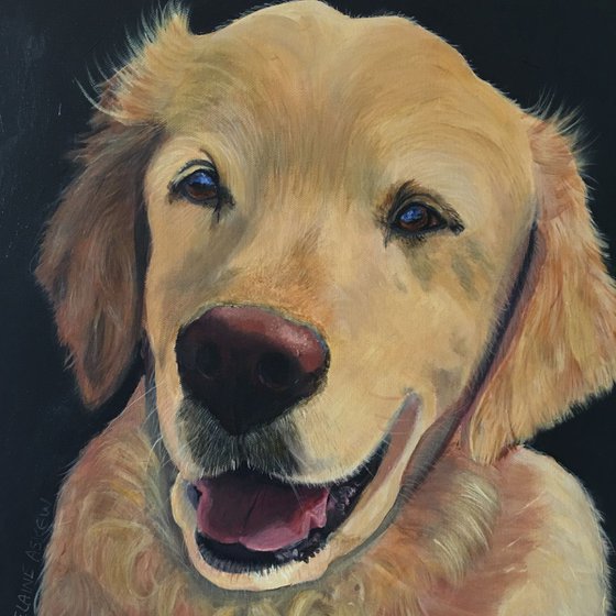 JAKE - RETRIEVER