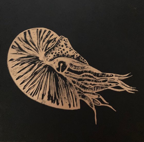 Nautilus Linocut (Unframed)