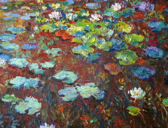 Water lilies in the pond