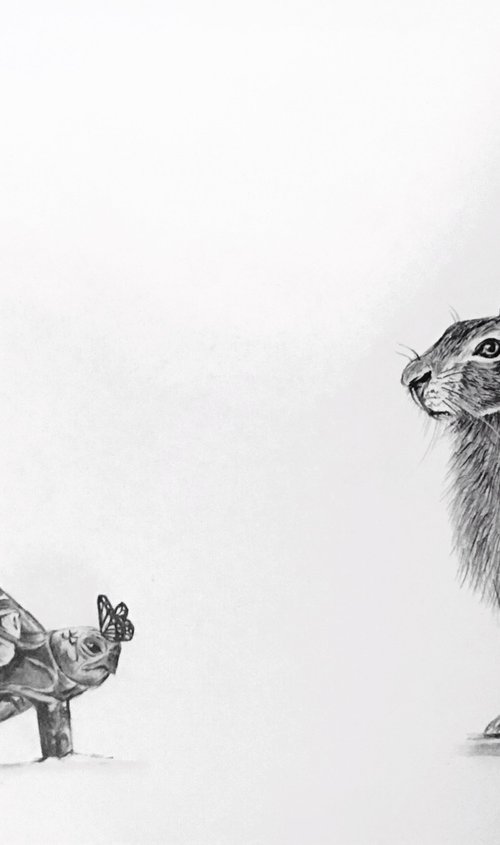 The tortoise and the hare by Amelia Taylor