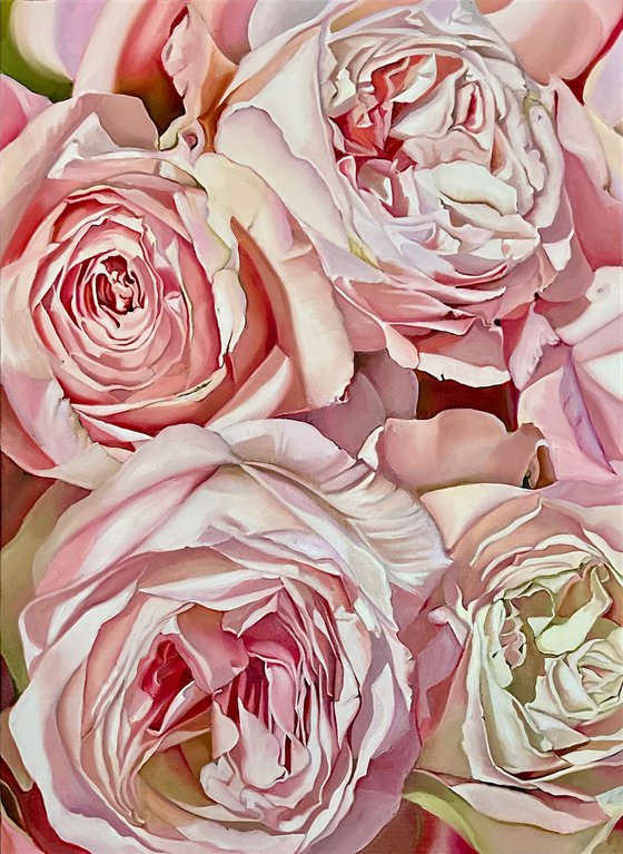 Roses de Mai