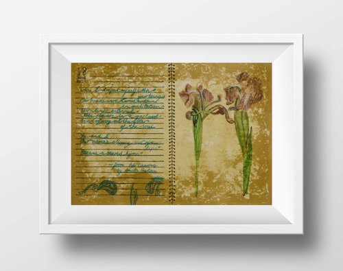 Twin Wild Irises (8x11") by Amrita Saraogi