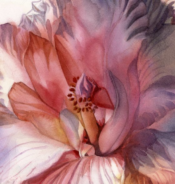 dreamy in pink, floral watercolor