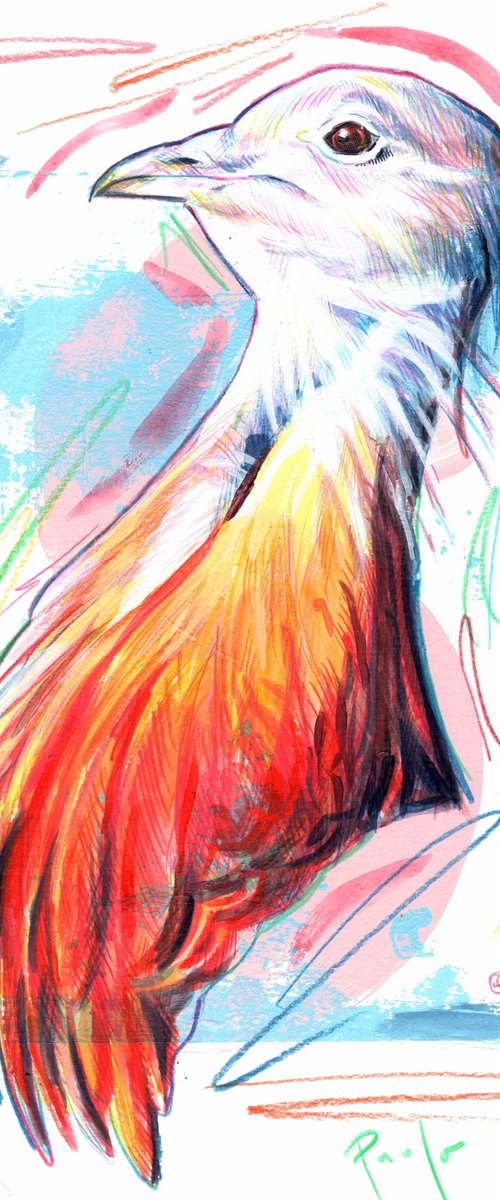 Great bustard by Paul Ward