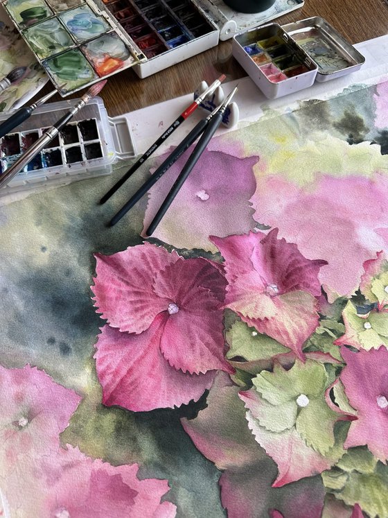 Pink hydrangeas