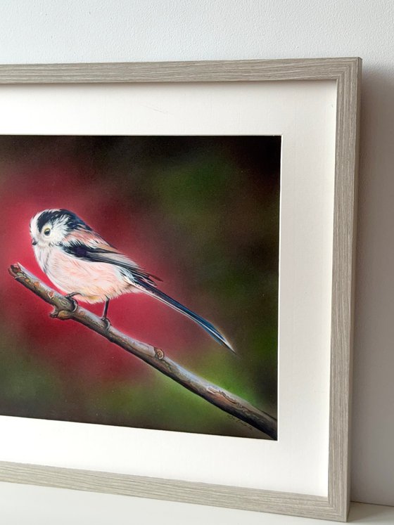 Long tail Tit Mixed Media Painting