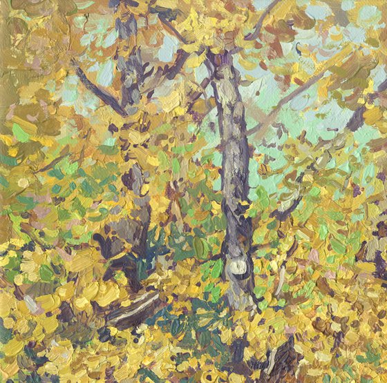 Oak tree in Tsaritsyno in October