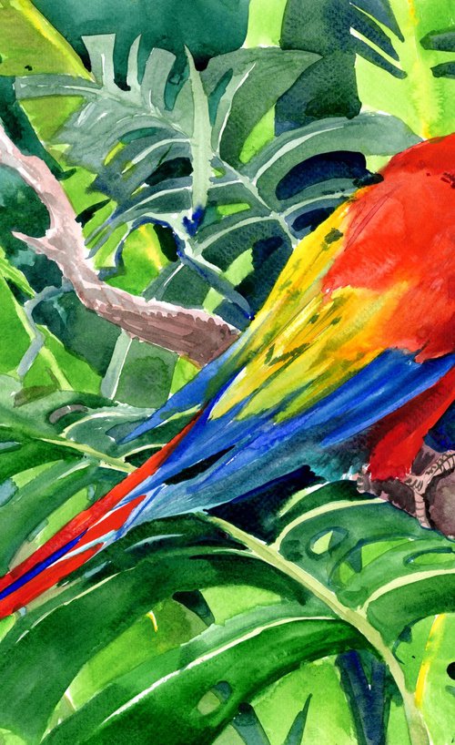 Scarlet Macaw in the Jungle by Suren Nersisyan