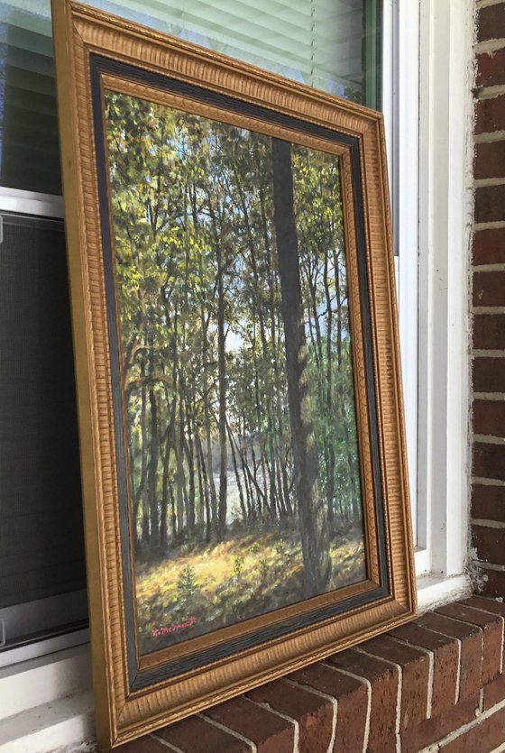 WOODS IN CHERRY PARK (SOLD)