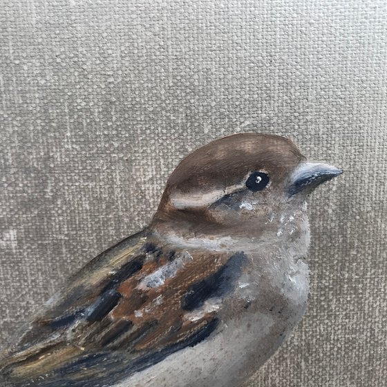 Little Sparrow ~ on silver