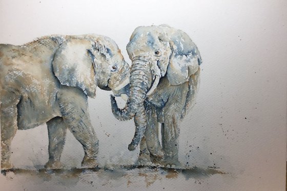 Elephants #2