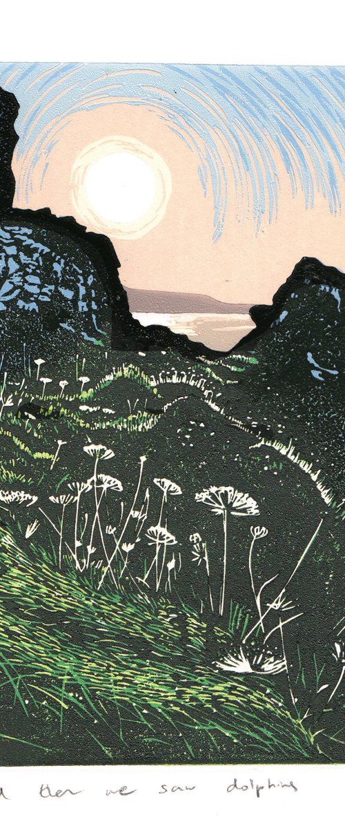 and then we saw dolphins by Hazel McNab