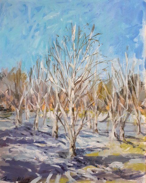 Silver Birch in the Snow by Ann Kilroy