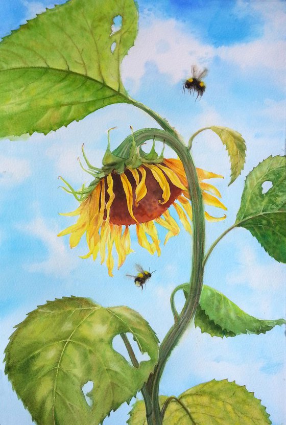 The Sunflower and the Bumblebees - Summer Sunflowers Bumblebee