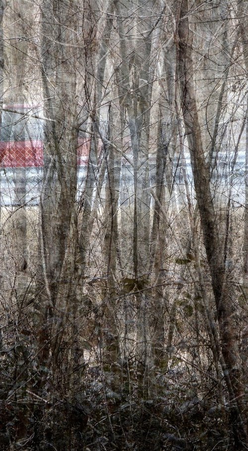 Près d'une route..... by PHILIPPE BERTHIER