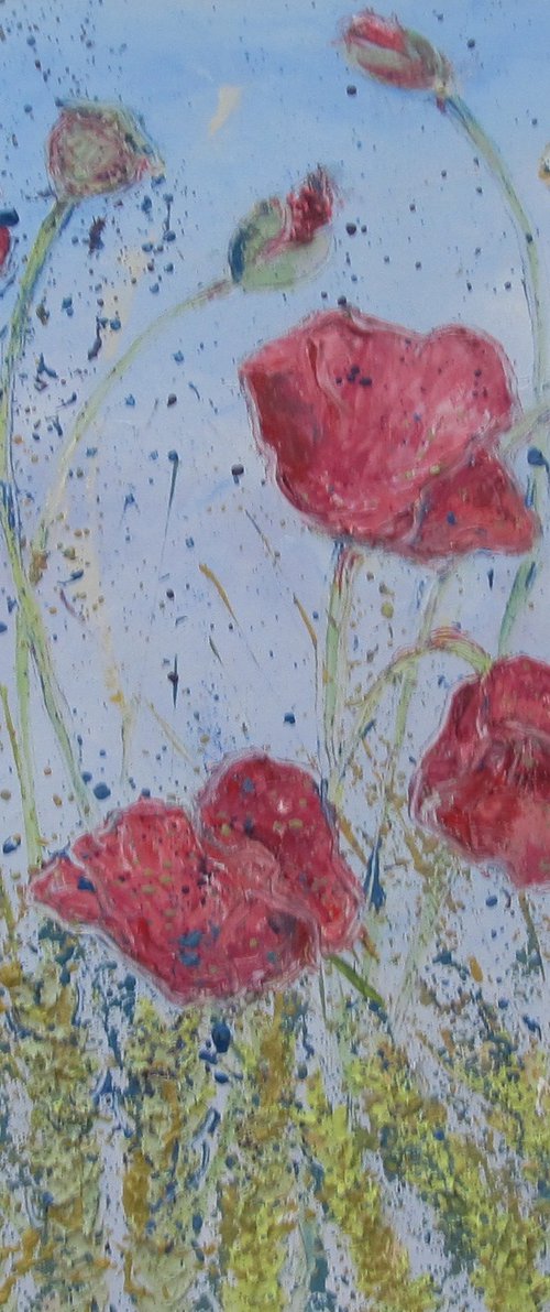 Poppies by Brenda Burgess