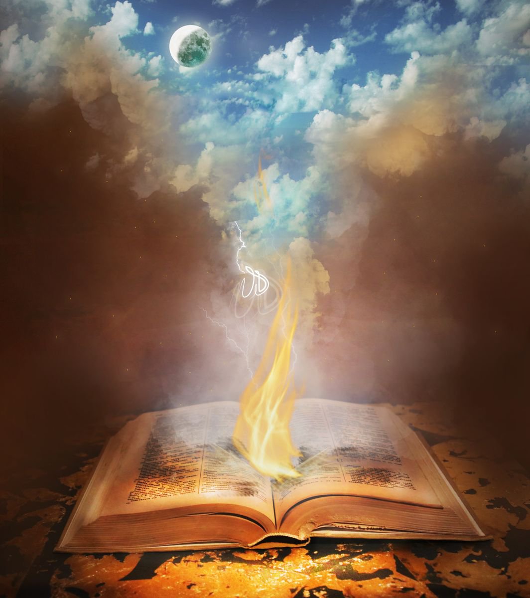 Book Burn by Vanessa Stefanova