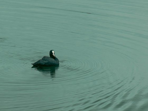 Playing the Surface