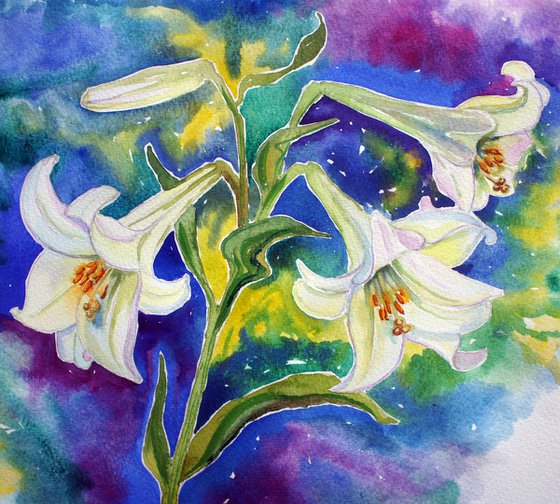 White Lillies