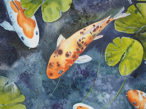 Koi fish