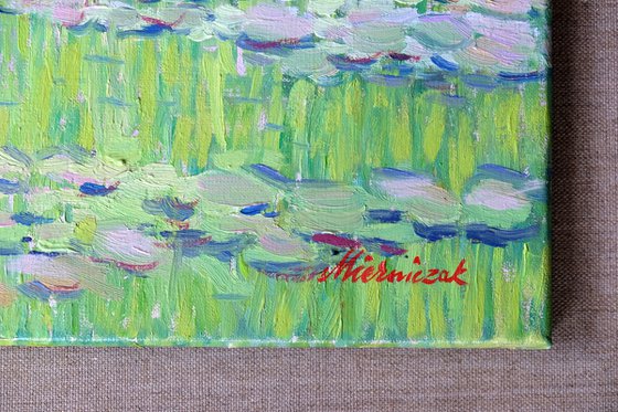 Wisteria in Giverny