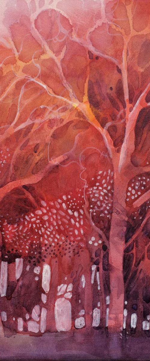 Red trees in the wood by Alessandro Andreuccetti