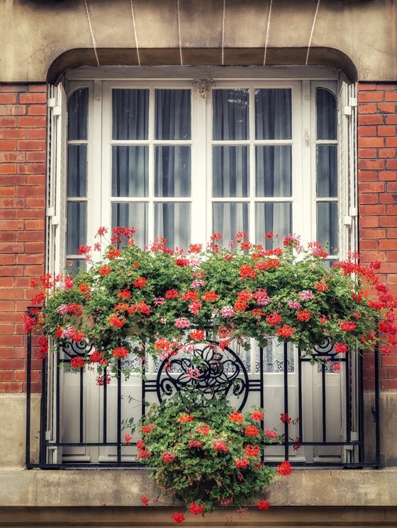 Paris window