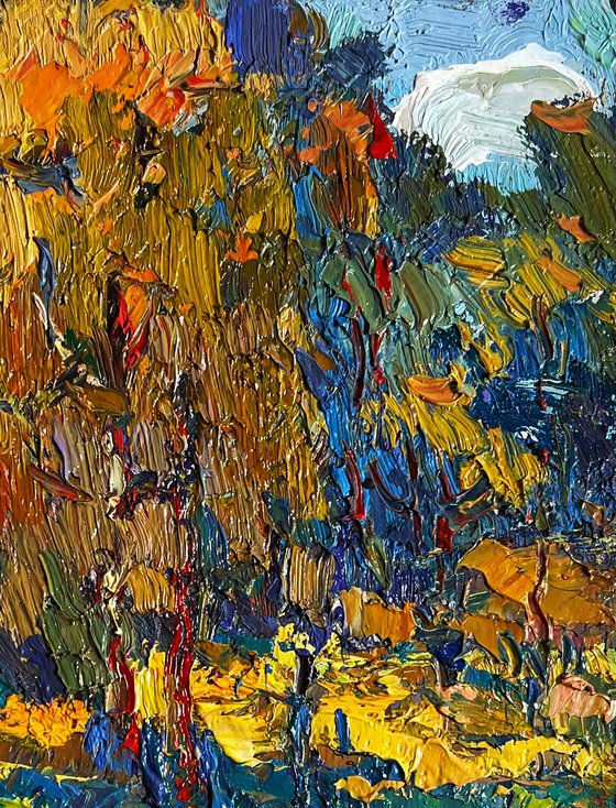 Sunbeams on the meadows