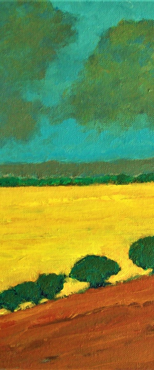 YELLOW FIELD AND PASSING CLOUDS by David J Edwards