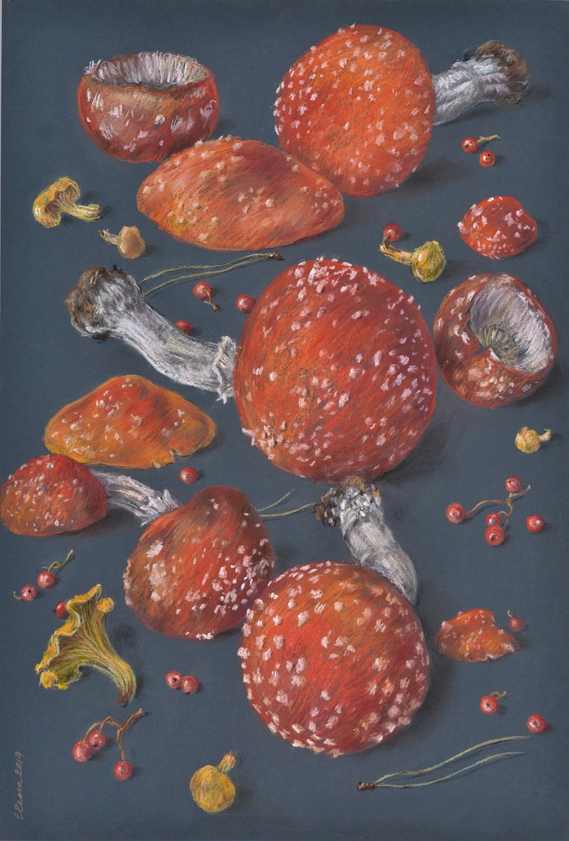 Mushrooms by Elena Pozel