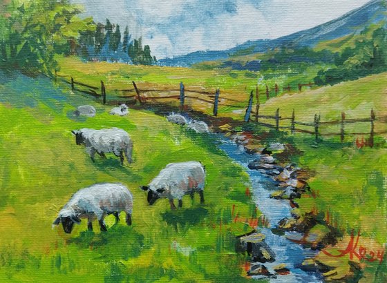 Scottish landscape with sheep