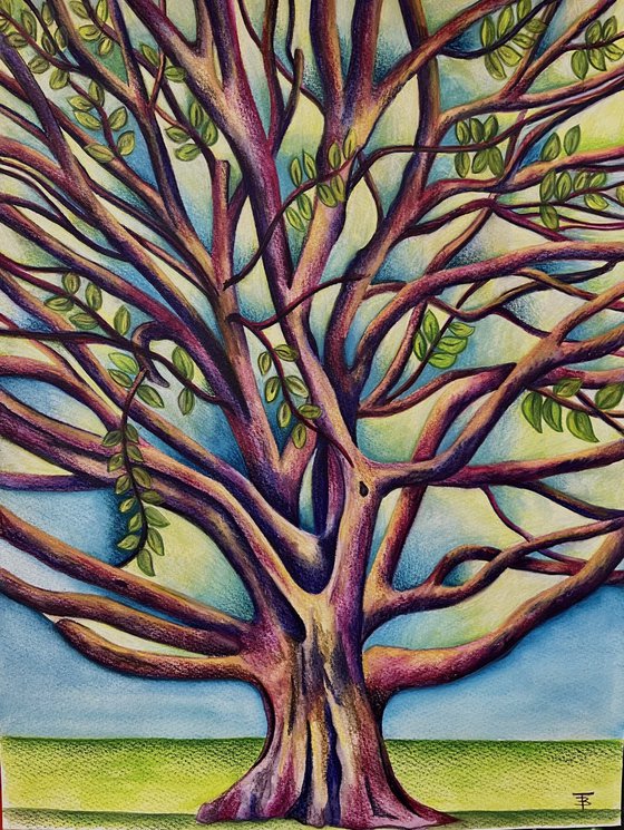 The Olive Tree