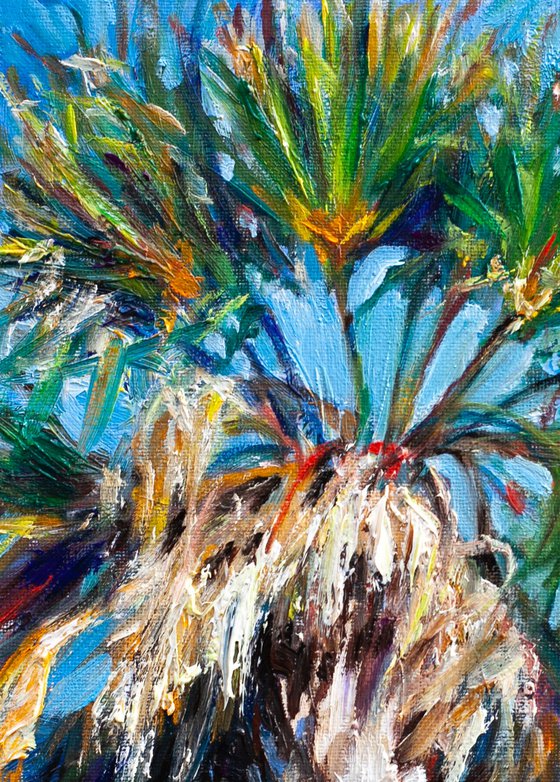 Palm Trees