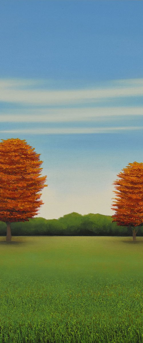 Fall Trees - Blue Sky by Suzanne Vaughan